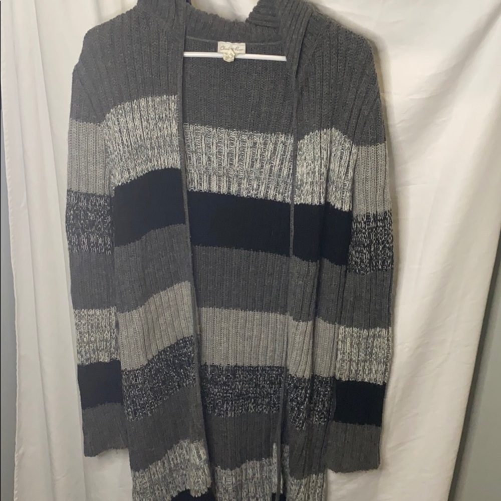 Charlotte Russe Women’s gray hooded sweater Small
